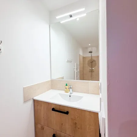 Les Oiseaux, Maison De 3 Et Climatisation * Montauban
