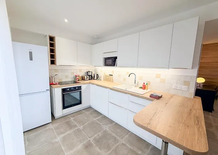 Villa Les Oiseaux, Maison De 3 Et Climatisation Montauban