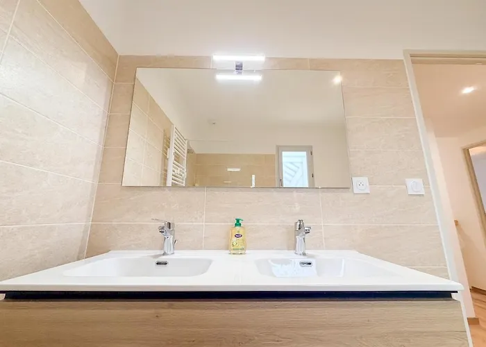 Les Oiseaux, Maison De 3 Et Climatisation *