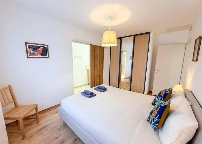 Les Oiseaux, Maison De 3 Et Climatisation * Montauban