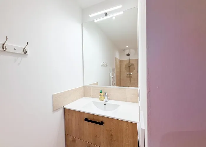 Les Oiseaux, Maison De 3 Et Climatisation * Montauban