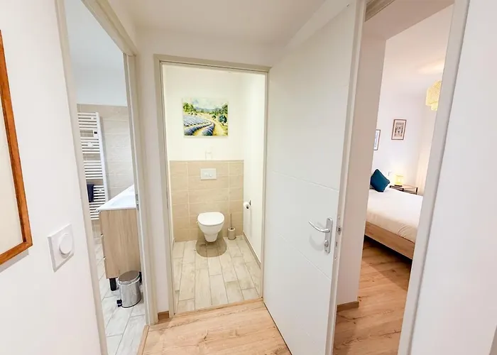 Villa Les Oiseaux, Maison De 3 Et Climatisation Montauban